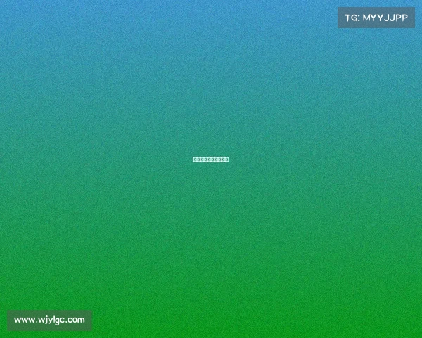 乒乓球白金赛什么意思