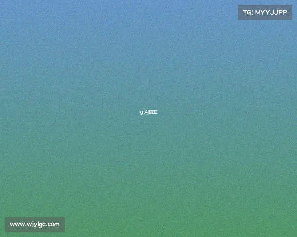 gt4赛车价格 gt4赛车价格