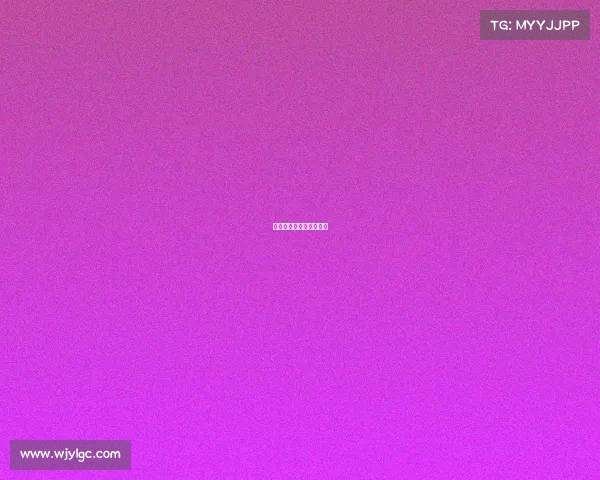 中国赛车运动的几大赛事