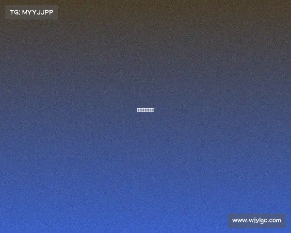 樊振东赛事表现 樊振东赛事表现