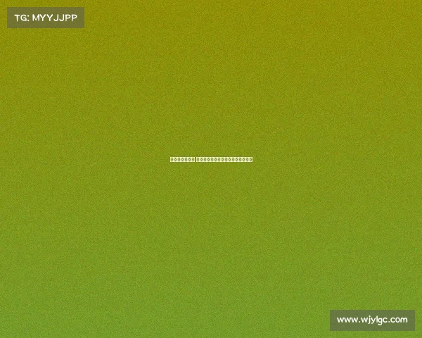 校园体育新篇章 校际赛事联盟火热开幕共创青春风采