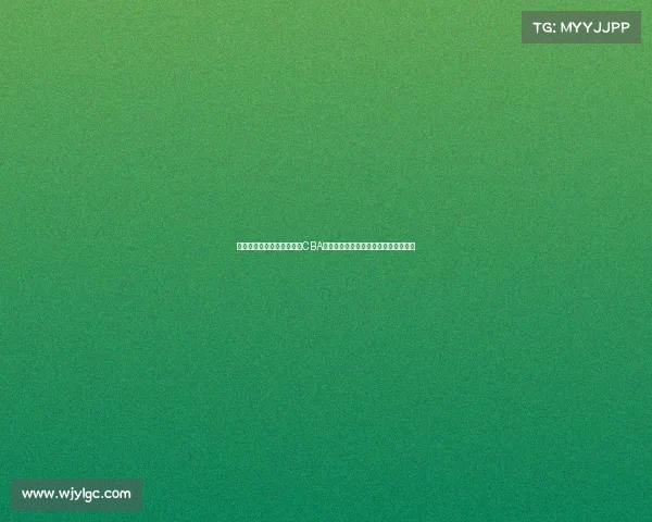 聚焦中国男子篮球职业联赛CBA赛事数据市场探索发展前景与商业机遇