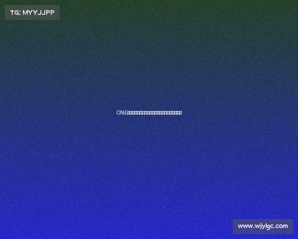 ONE赛事官网综合格斗赛事资讯权威平台精彩尽在掌握