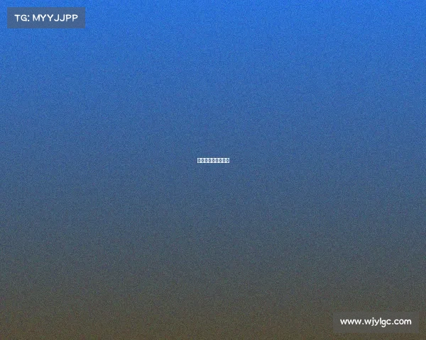 山东东营赛鸽俱乐部